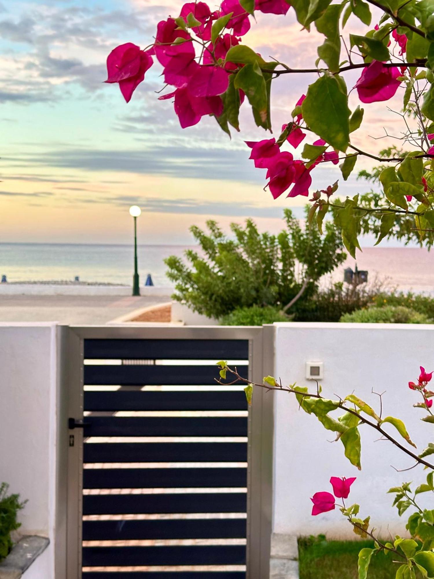 Fantasea Beachfront * Makry Gialos (Crete)