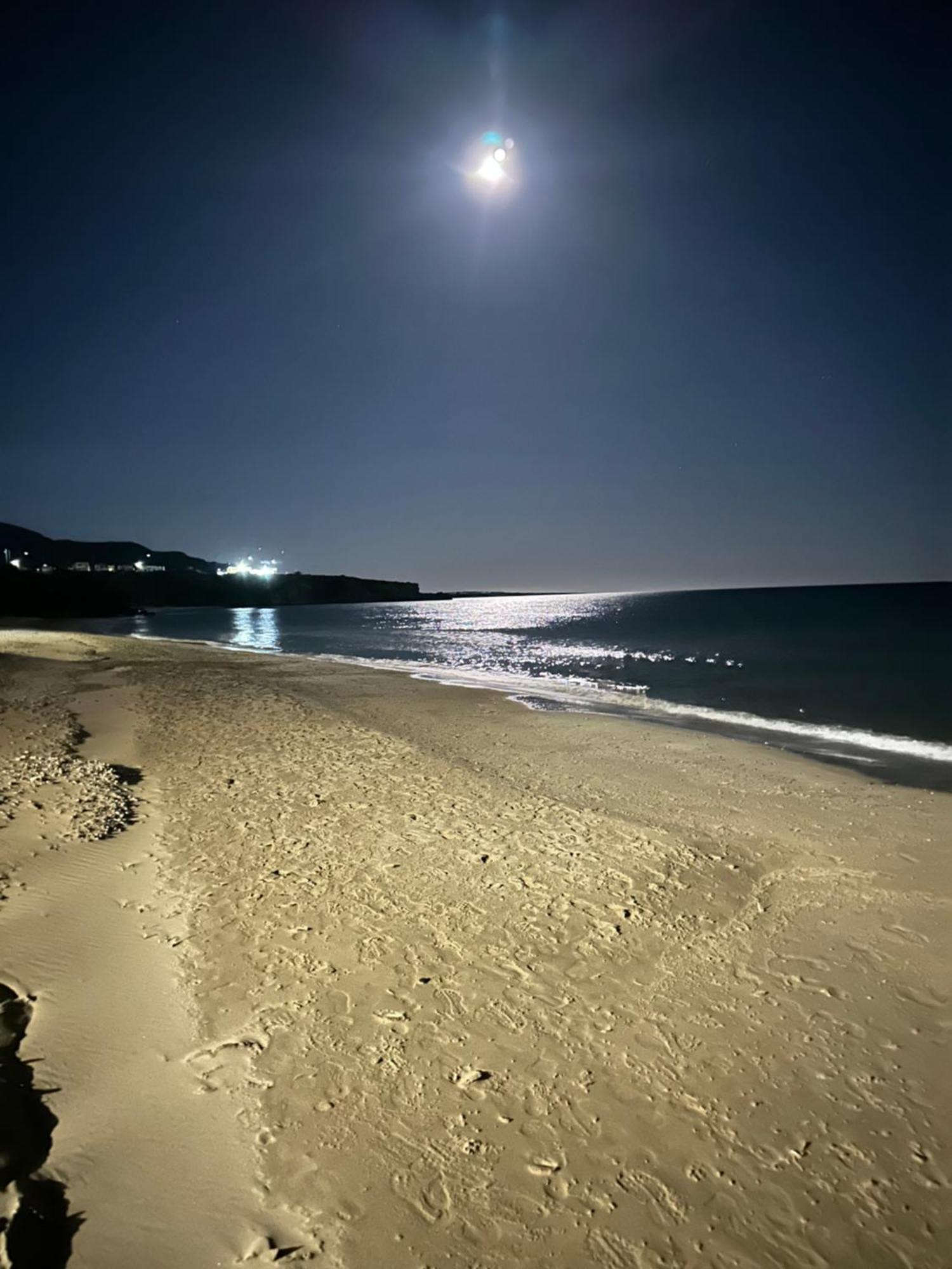 Fantasea Beachfront Villa *